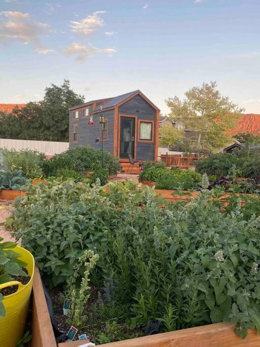 Atlantis Garden Tiny Home Hildale Екстериор снимка