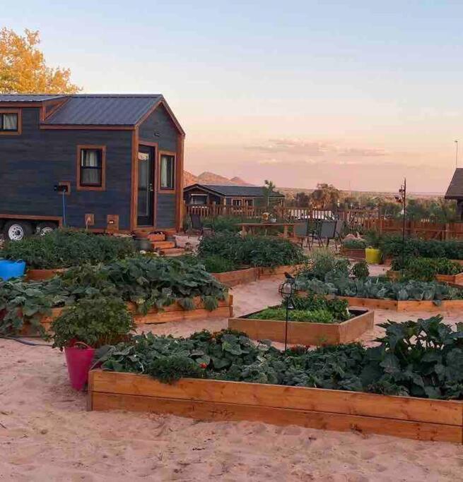 Atlantis Garden Tiny Home Hildale Екстериор снимка