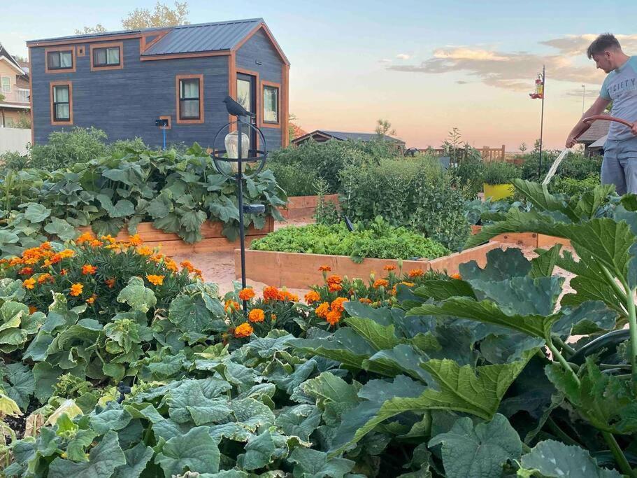 Atlantis Garden Tiny Home Hildale Екстериор снимка