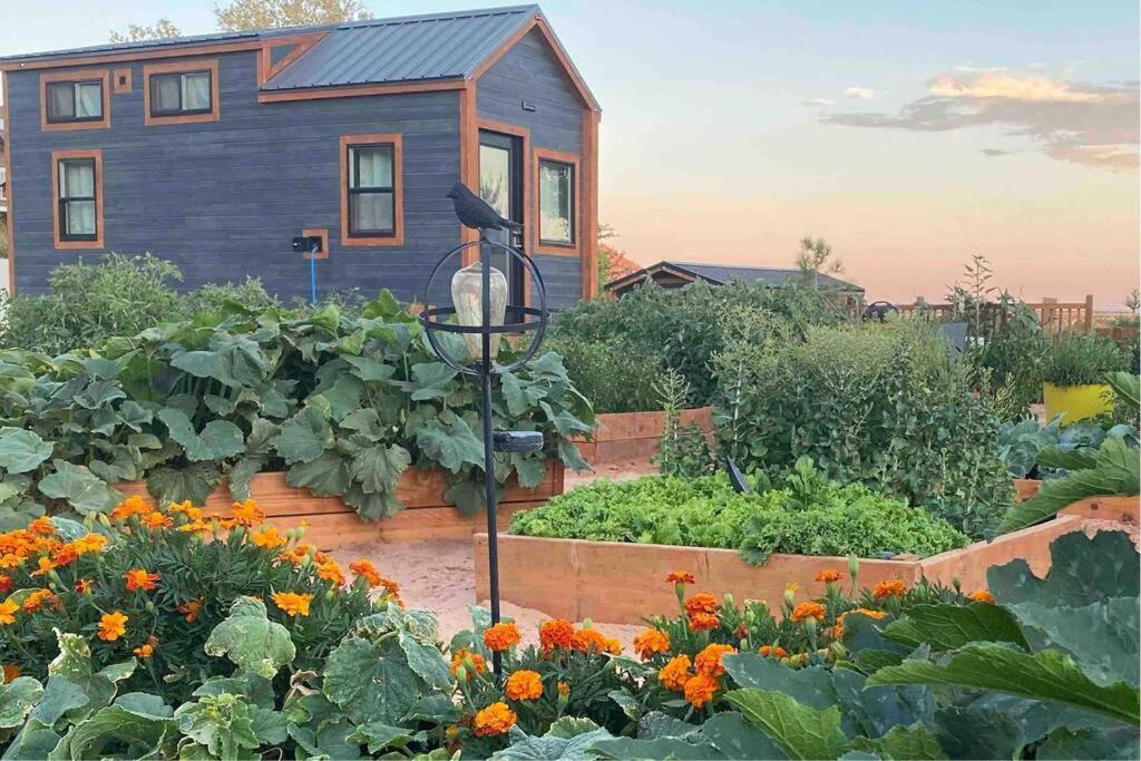 Atlantis Garden Tiny Home Hildale Екстериор снимка